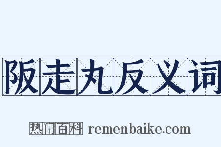 阪走丸反义词是什么意思的图片